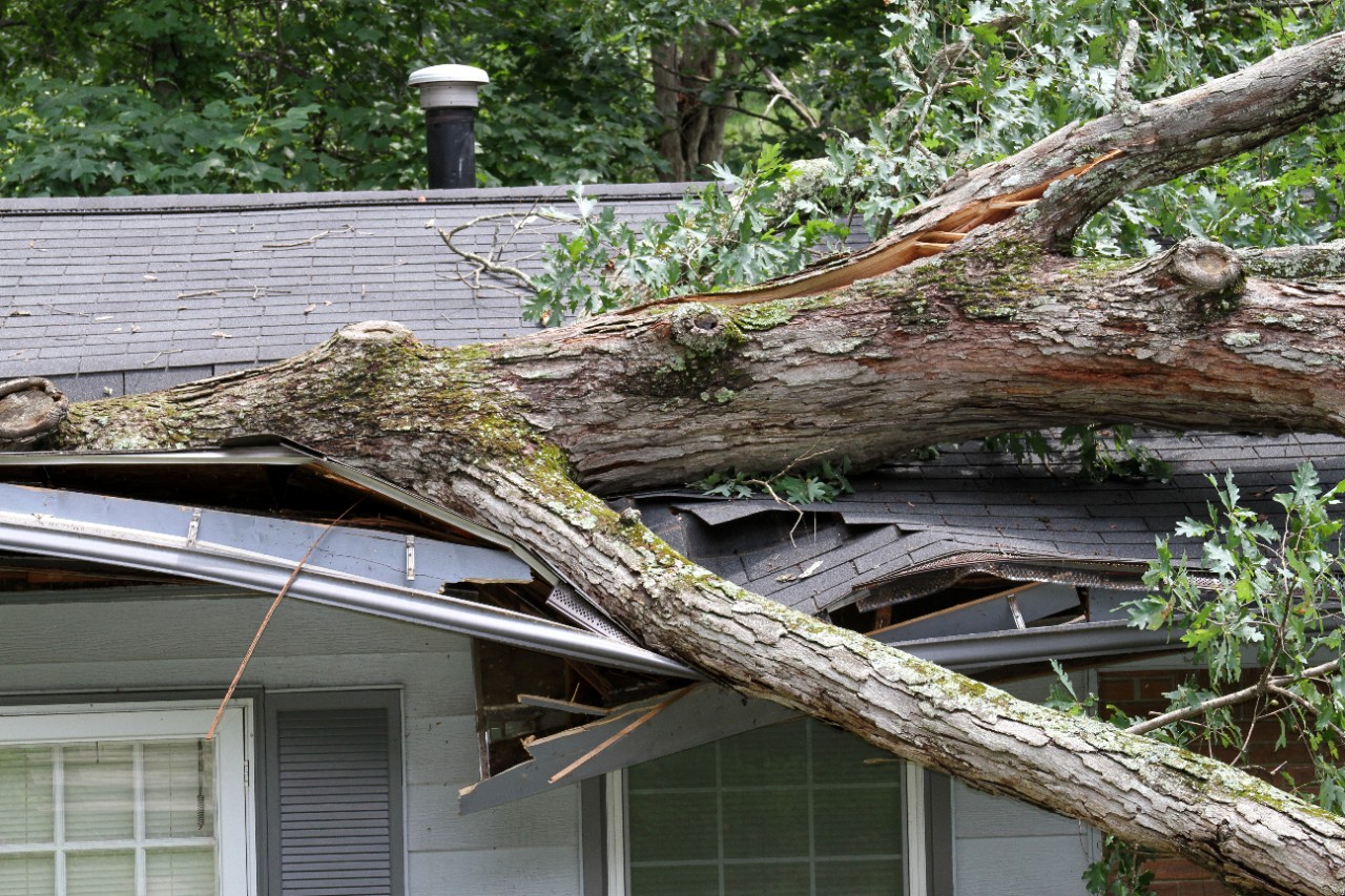 Storm damage 