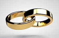 GLOBAL-PNI-wedding-rings-SS-288895979