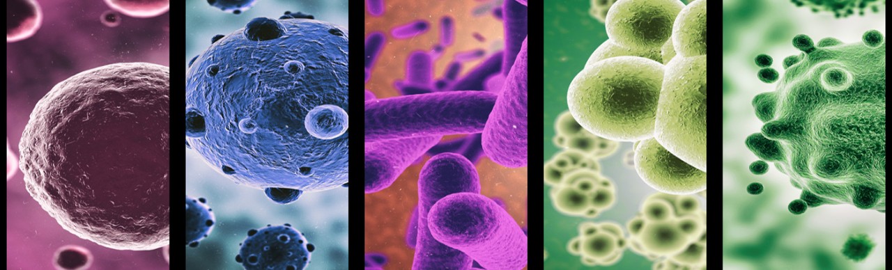 multicolored disease microbes