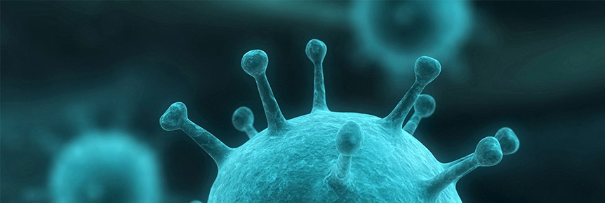 Influenza Surveillance