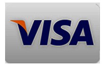 Visa card logo