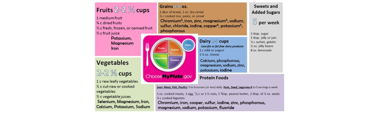 Choose My Plate