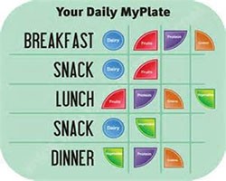 Your daily my plate