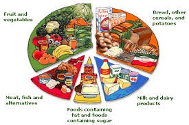 Nutrition Wheel