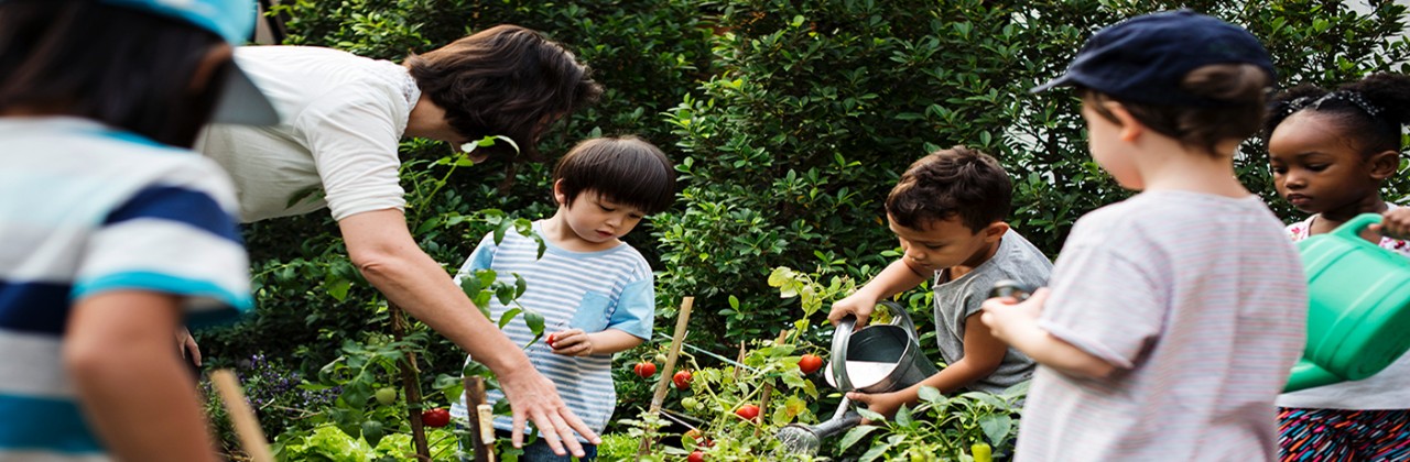 Children in a vegetable garden