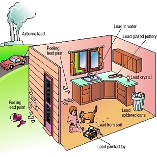 Sources of lead in and around the home, Airborne lead, Lead in water, Peeling lead paint, lead-glazed pottery, lead crystal, lead soldered cans, lead from soil, lead painted toy