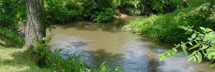 Picture of a rural stream