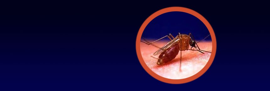 Vector Control